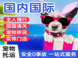 昆明长水机场快运国际宠物托运 【国